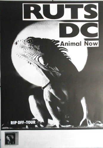 Ruts 1980 tour - dc, orig